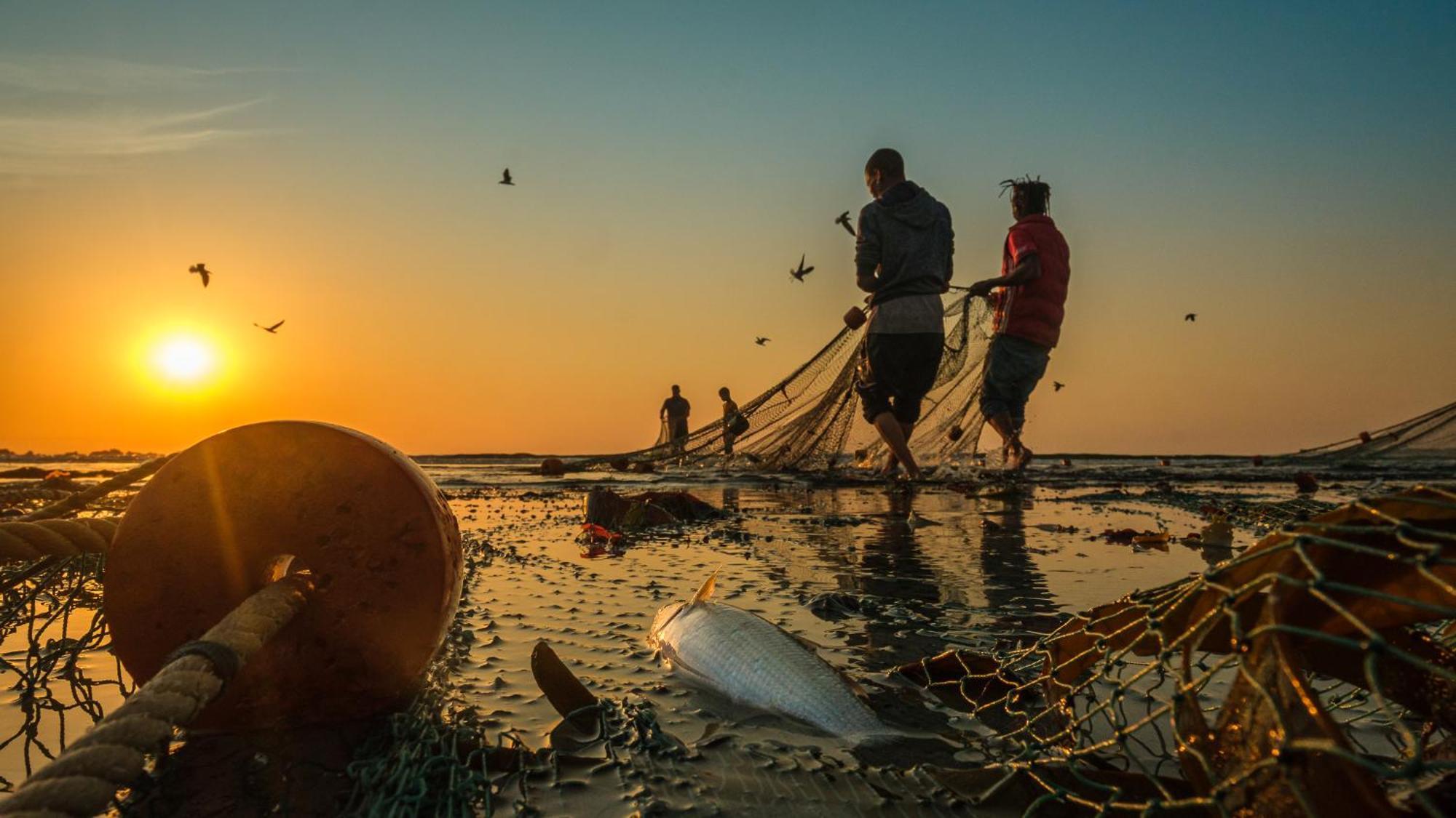 Dankbaar Holiday Home Paternoster Ngoại thất bức ảnh